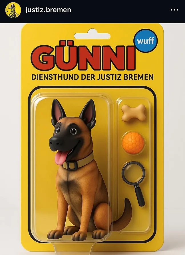 Screenshot Instagram mit Hund Günni